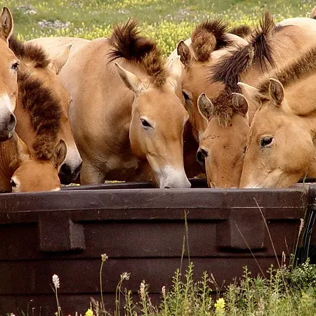 Paradis Barjac (Lozere)